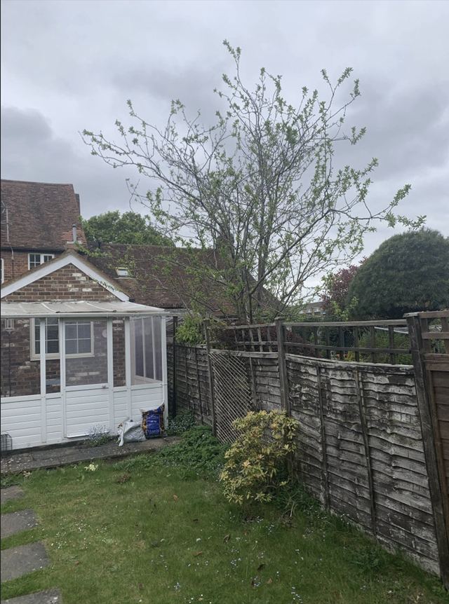 The existing lean-to conservatory against the back of the brick house, seen across the lawn